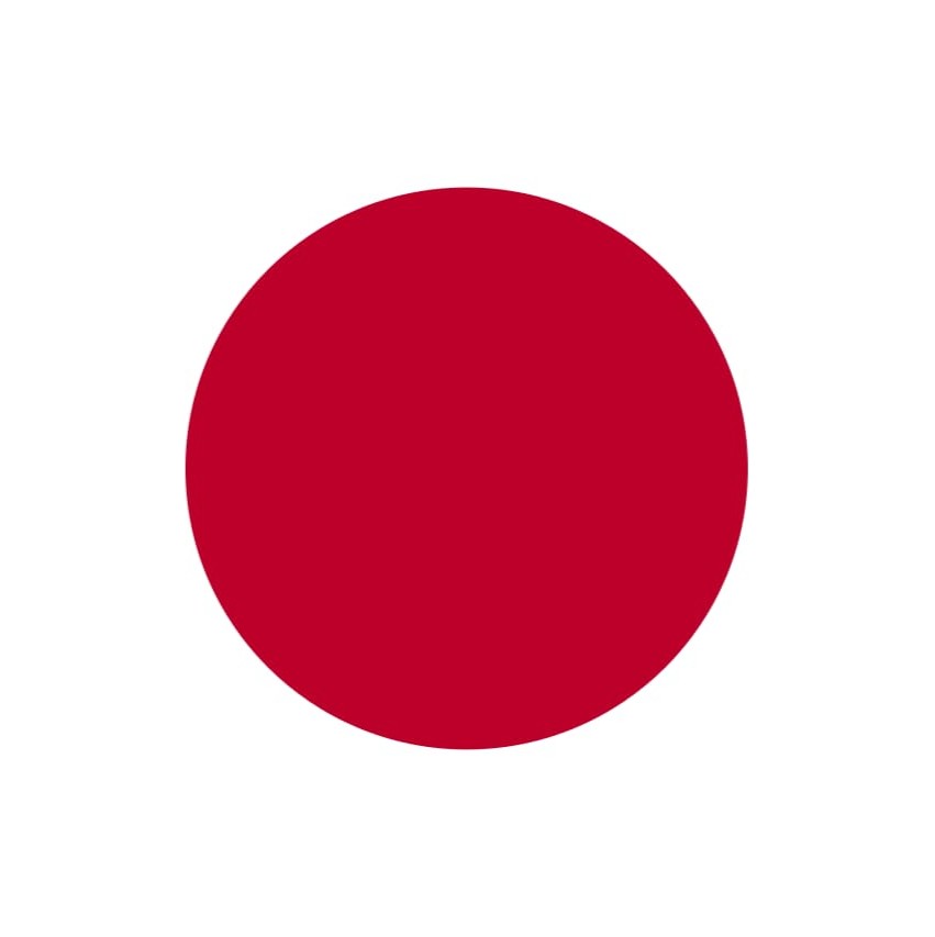 BlizzerdPro 日本 基盤
